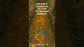 Trick to easily beat Ridgeland Tower Electric Tower Challenge BOTW [upl. by Ylrbmik37]