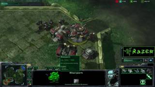 Starcraft 2 Tester vs ITR Game 3 Part 1 King of the Beta Tournament Semifinals in HD [upl. by Maclaine]