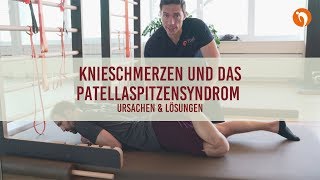 Knieschmerzen und das Patellaspitzensyndrom  Ursachen und Lösungen I Wolf on Tour Folge 27 [upl. by Kristyn]