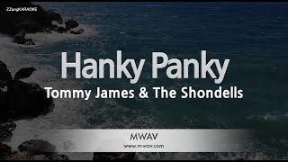 Tommy James amp The ShondellsHanky Panky Melody ZZang KARAOKE [upl. by Enahsed946]