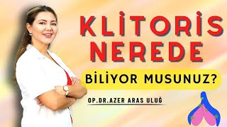 Klitoris Nerede Biliyor Musunuz Kadın Genital Sisteminde Bilinmeyenler cinselorgan genitalsistem [upl. by Chap993]