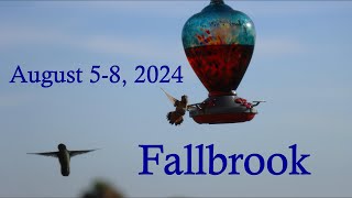 Fallbrook August 2024 [upl. by Eelra]