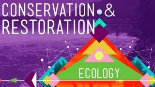 Conservation and Restoration Ecology Crash Course Ecology 12 [upl. by Anyr]