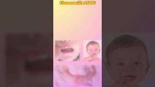 Chamomilla Homeopathic Medicine  Chamomilla 30  200 uses amp benefits  Identifying Symptoms [upl. by Kamillah]