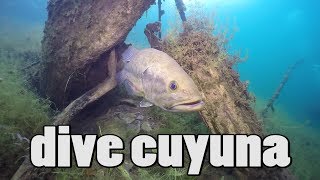 Scuba Diving Minnesota Cuyuna Recreation Area Episode VIII [upl. by Hayilaa]