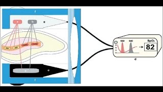 How does pulse oximeter works [upl. by Sigismondo]