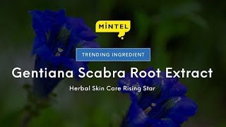 Mintel Trending ingredient Gentiana Scabra Root Extract [upl. by Sherl]