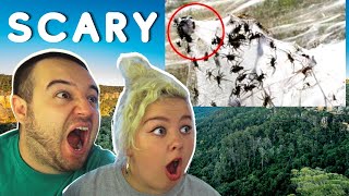 Americans React to 17 Scariest Animals in Australia  COUPLE REACTION VIDEO [upl. by Nnyleve687]