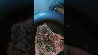 Grilled cooked salmon salmon shorts [upl. by Fritts]