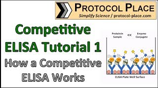 Competitive ELISA Tutorial 1 How a Competitive ELISA Works [upl. by Lorimer460]