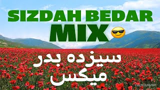 Sizdah Bedar 1403 Mix 💐  سیزده بدر ميكس [upl. by Nihahs]