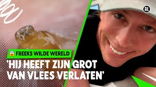 LARVEN DOCU FREEK VONK 🪰  Freeks wilde wereld  NPO Zapp [upl. by Elyssa133]