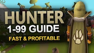 OSRS 199 Hunter Guide [upl. by Nojel]