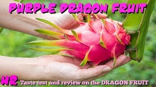 ⟹ DRAGON FRUIT  Hylocereus costaricensis  Pitaya roja FRUIT REVIEW [upl. by Orual]