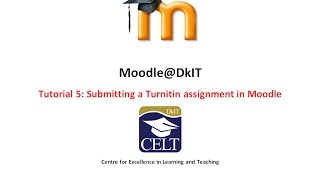 Submitting a Turnitin assignment [upl. by Sucirdor]