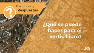 ¿Qué se puede hacer para el Verticillium [upl. by Lirva]