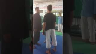 Pencak Silat VS Karate Part 2 Ground Fighting [upl. by Jilli]