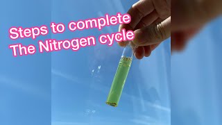 The Nitrogen cycle steps and API water test kit [upl. by Ivie]