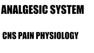 Analgesic system  Pathway  Physiology of Pain  CNS  Central nervous system [upl. by Rowe399]