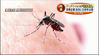 医学生物学研究所、デングウイルスの抗体開発に成功140905 [upl. by Ettennyl]