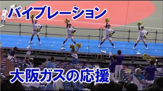 大阪ガスの応援『バイブレーション』20231115 日本選手権 京セラドーム [upl. by Clotilda]