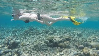 Snorkeling from the Overwater Villa at Constance Halaveli Maldives [upl. by Meli671]