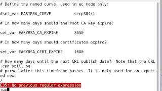 3 Configure openvpn on VYOS [upl. by Ahsekel]