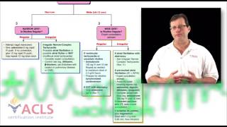 Tachycardia Review by ACLS Certification Institute [upl. by Rattan996]