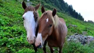 La pioggerella  canzone per bambini [upl. by Joscelin362]