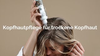 Anti Schuppen Shampoo Kopfhautserum amp Conditioner mit Teebaumöl gegen trockene Kopfhaut amp Schuppen [upl. by Hausner]