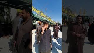 Karbala Syed Ali Mehdi [upl. by Hulbard]