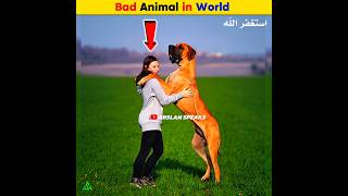 Bad Animal in World  Arslan Speaks facts shortsfeed arslanspeaks amazingfacts [upl. by Coughlin943]