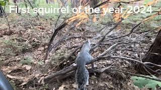 Opening day of squirrel 2024 ￼ [upl. by Jacquetta]