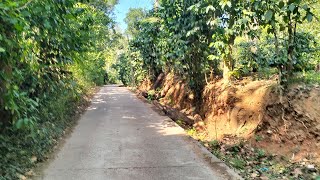 65 acre plantation for sale in Mallandur  Chikkamgaluru [upl. by Laureen]