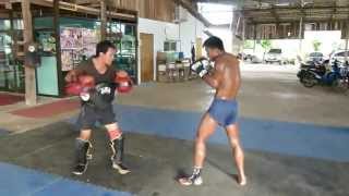 Treinamento Duro de Muay Thai [upl. by Novej]