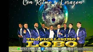 Tropicalisimo Lobo En Vivo Plegaria [upl. by Mariano]