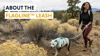 About the Flagline™ Leash [upl. by Anitselec]