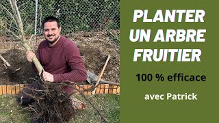 Comment Planter Un Arbre Fruitier  Guide Complet pour Réussir [upl. by Amehsyt]