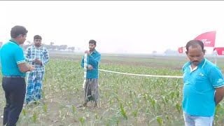 Wonderful result after mixing Sai power plus with maize 🌽 herbicide video agriculture [upl. by Jolanta794]