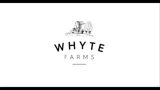 WHYTE FARMS  HD [upl. by Itteb]