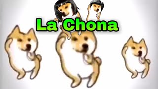 🐶Perritos bailando La Chona🐶 [upl. by Cornelie197]