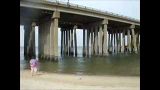 Surf Fishing Lynnhaven Inlet  The View From the Beach [upl. by Kcirdef425]