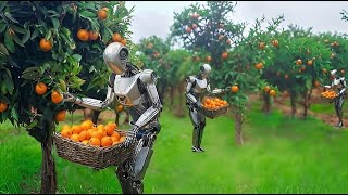 Cómo Los Robots Cosechan Millones De Toneladas De Frutas Cada Día [upl. by Howes]