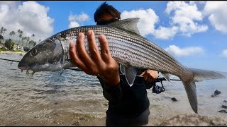 Whipping for Oio  Fishing for bonefish in Hawaii Episode 2 [upl. by Naols]