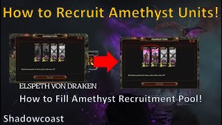 How to Recruit Amethyst Units as Eslpeth von Draken in Total War Warhammer III  Thrones of Decay [upl. by Fleur]