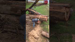 Stihl 500i VS BIG Red Oak Log [upl. by Forward291]