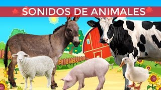 Sonidos de animales  Sonidos de los animales ruido de animales para niños [upl. by Worden]