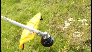 Brush Cutter 31CC 260MM CG117 [upl. by Khajeh]