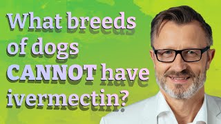 What breeds of dogs Cannot have ivermectin [upl. by Drobman]