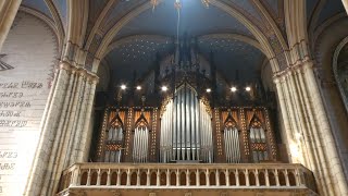 Organ of the Zagreb Cathedral 🎹 Orgulje Zagrebačke Katedrale [upl. by Whall773]